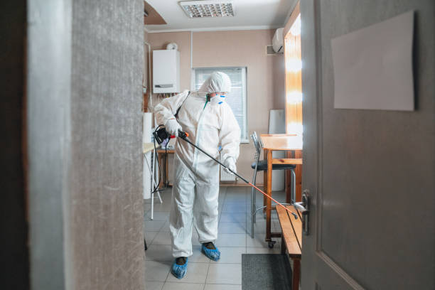 Best Forensic Mold Investigation  in Woodbine, GA