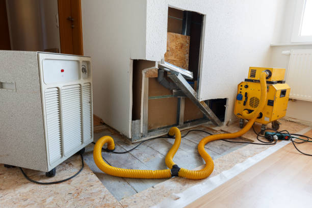 Best Mold Removal for HVAC Installations  in Woodbine, GA